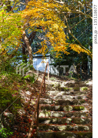 長岳寺　秋　紅葉の季節 135118677