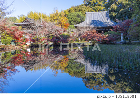 長岳寺 放生池 秋 紅葉の季節 長岳寺 放生池 秋 紅葉の季節 135118681