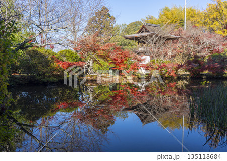 長岳寺　放生池に映る楼門　秋　紅葉の季節 135118684