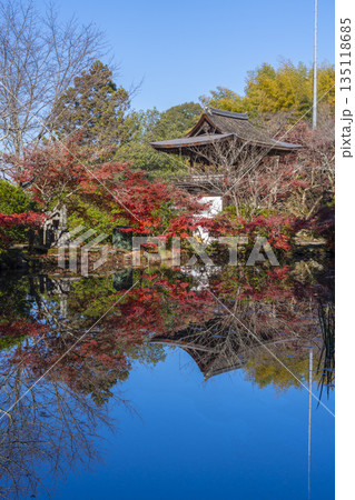 長岳寺 放生池に映る楼門 秋 紅葉の季節 長岳寺 放生池に映る楼門 秋 紅葉の季節 135118685