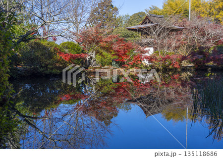 長岳寺 放生池に映る楼門 秋 紅葉の季節 長岳寺 放生池に映る楼門 秋 紅葉の季節 135118686