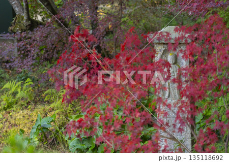 長岳寺　石仏　秋　紅葉の季節 135118692