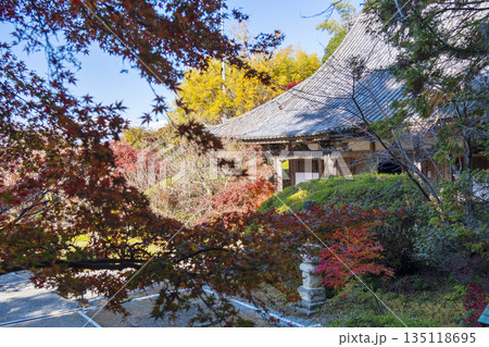 長岳寺　本堂　秋　紅葉の季節 135118695