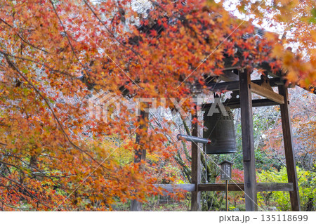長岳寺　鐘堂　秋　紅葉の季節 135118699