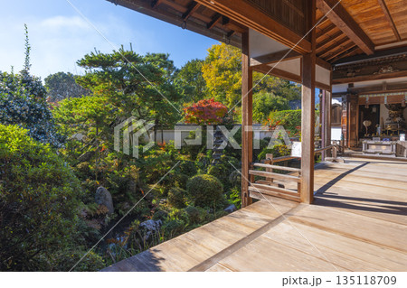 長岳寺 旧地蔵院から眺める日本庭園 秋 長岳寺 旧地蔵院から眺める日本庭園 秋 135118709