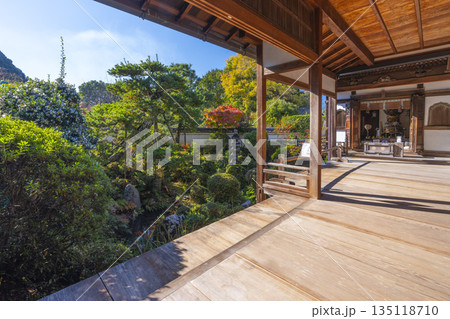 長岳寺 旧地蔵院から眺める日本庭園 秋 長岳寺 旧地蔵院から眺める日本庭園 秋 135118710