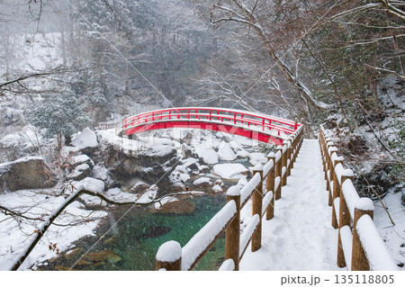 夕森渓谷（冬）：もみじ橋 135118805