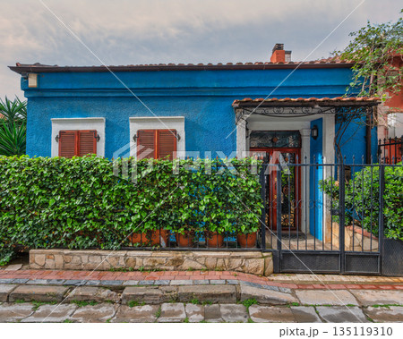 Charming blue house with red roof tiles, brown shutters, and a green ivy hedge behind a decorative metal gate 135119310
