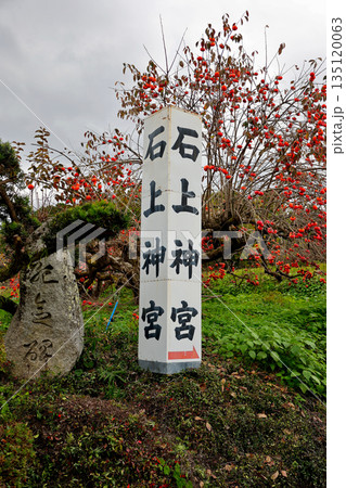 石上神宮への神社案内看板 と 石碑 奈良県 天理市 石上神宮への神社案内看板 と 石碑 奈良県 天理市 135120063