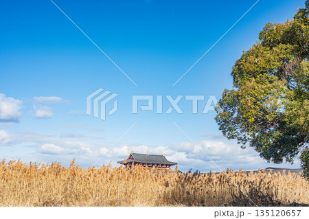 国営平城宮跡歴史公園 第一大極殿 奈良市 国営平城宮跡歴史公園 第一大極殿 奈良市 135120657