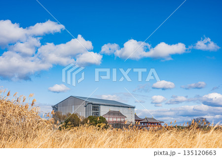 国営平城宮跡歴史公園 第一次大極殿南門復元工事 奈良市 国営平城宮跡歴史公園 第一次大極殿南門復元工事 奈良市 135120663