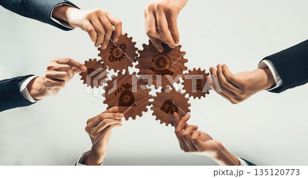 Collaborative Strategy for Cost Reduction and Efficiency Improvement in Business Operations with Teamwork and Gear Illustrations. Amity Collaborative Strategy for Cost Reduction and Efficiency Improvement in Business Operations with Teamwork and Gear Illustrations. Amity 135120773