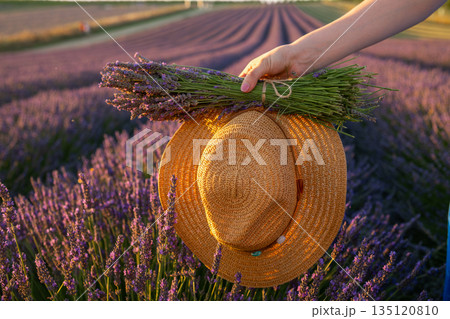 Romantic summer scene with female hand, straw hat, and lavender flowers in nature. Romantic summer scene with female hand, straw hat, and lavender flowers in nature. 135120810