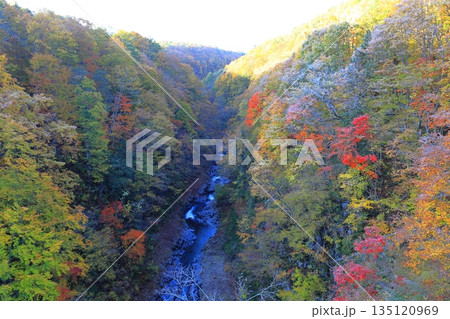 中津川渓谷／福島県 耶麻郡 北塩原村 135120969