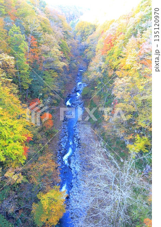中津川渓谷／福島県 耶麻郡 北塩原村 135120970