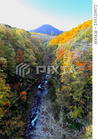 中津川渓谷/福島県 耶麻郡 北塩原村 中津川渓谷/福島県 耶麻郡 北塩原村 135120972