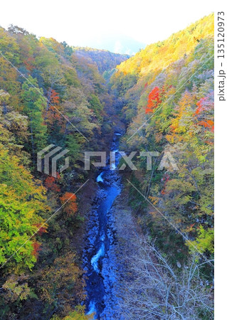 中津川渓谷/福島県 耶麻郡 北塩原村 中津川渓谷/福島県 耶麻郡 北塩原村 135120973