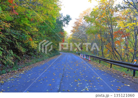 秋の裏磐梯 磐梯吾妻レークライン 中津川渓谷/福島県(北塩原村・猪苗代町) 秋の裏磐梯 磐梯吾妻レークライン 中津川渓谷/福島県(北塩原村・猪苗代町) 135121060