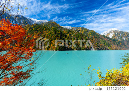 長野県大町市平　鮮やかなミルキーブルーの高瀬ダム調整湖のモミジなどの紅葉と冠雪した山々の景色 135121992