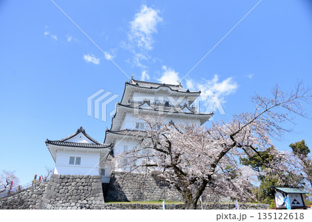小田原城　桜 135122618