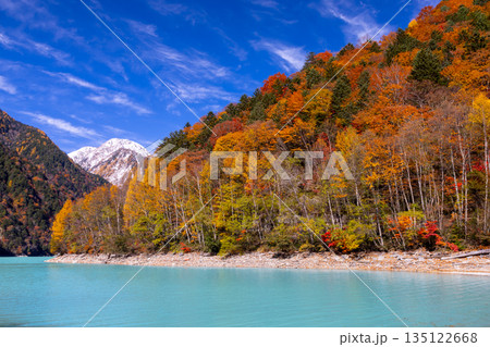 長野県大町市平 鮮やかなミルキーブルーの高瀬ダム調整湖の紅葉と青空に映える冠雪した山の景色 長野県大町市平 鮮やかなミルキーブルーの高瀬ダム調整湖の紅葉と青空に映える冠雪した山の景色 135122668