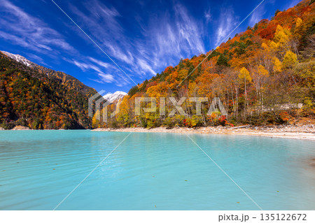 長野県大町市平　鮮やかなミルキーブルーの高瀬ダム調整湖の紅葉と青空に映える冠雪した山の景色 135122672