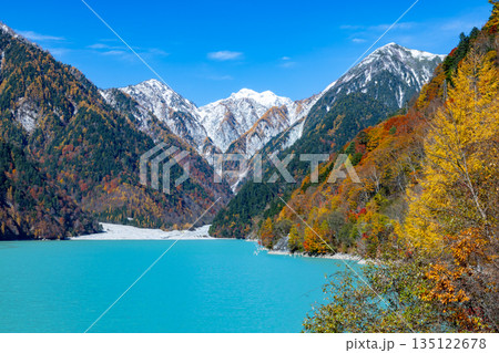 長野県大町市平　鮮やかなミルキーブルーの高瀬ダム調整湖の紅葉と青空に映える冠雪した山の景色 135122678