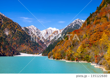 長野県大町市平　鮮やかなミルキーブルーの高瀬ダム調整湖の紅葉と青空に映える冠雪した山の景色 135122680