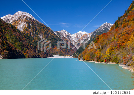 長野県大町市平　鮮やかなミルキーブルーの高瀬ダム調整湖の紅葉と青空に映える冠雪した山の景色 135122681