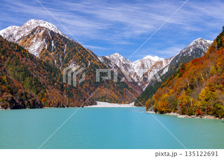長野県大町市平 鮮やかなミルキーブルーの高瀬ダム調整湖の紅葉と青空に映える冠雪した山の景色 長野県大町市平 鮮やかなミルキーブルーの高瀬ダム調整湖の紅葉と青空に映える冠雪した山の景色 135122691