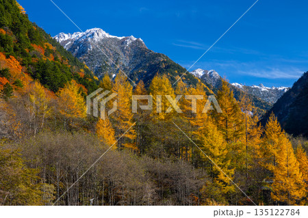 長野県大町市平　高瀬ダム調整湖周辺の紅葉と青空に映える冠雪した山の景色 135122784