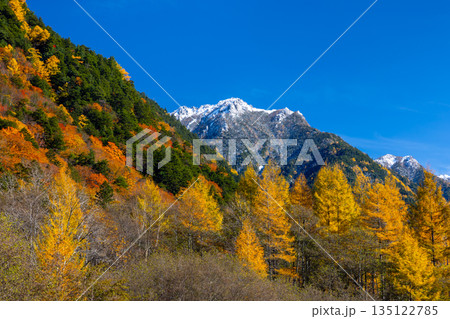 長野県大町市平 高瀬ダム調整湖周辺の紅葉と青空に映える冠雪した山の景色 長野県大町市平 高瀬ダム調整湖周辺の紅葉と青空に映える冠雪した山の景色 135122785