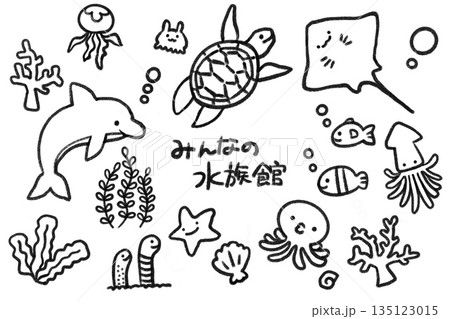 かわいい水族館の生き物たち かわいい水族館の生き物たち 135123015
