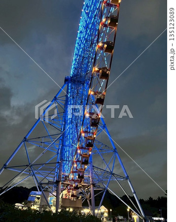 葛西臨海公園の夜景・観覧車 135123089