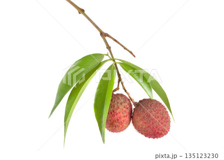Lychee with leaves isolated on white background. 135123230