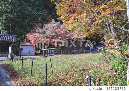 Nov 23 2025 Scenic Ohara Countryside Landscape in Rural Kyoto 135123733