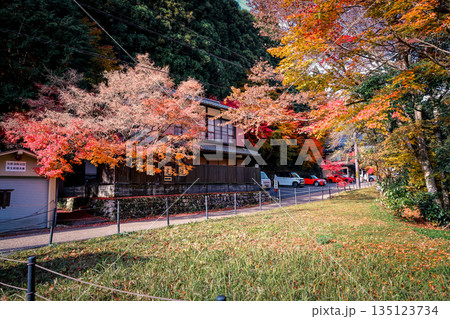 Nov 23 2025 Scenic Ohara Countryside Landscape in Rural Kyoto 135123734