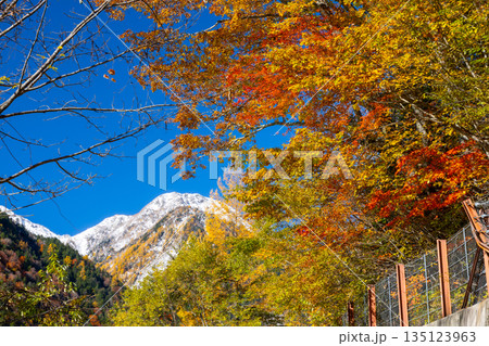 長野県大町市平 高瀬ダム調整湖周辺の紅葉と青空に映える冠雪した山の景色 長野県大町市平 高瀬ダム調整湖周辺の紅葉と青空に映える冠雪した山の景色 135123963