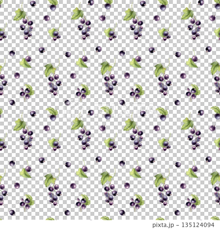 Watercolor seamless pattern with greenery black berries isolated on white. Summer print with fresh garden blackcurrant plants. Botanical repeat background for fabric, wallpaper, card, and food design. Watercolor seamless pattern with greenery black berries isolated on white. Summer print with fresh garden blackcurrant plants. Botanical repeat background for fabric, wallpaper, card, and food design. 135124094