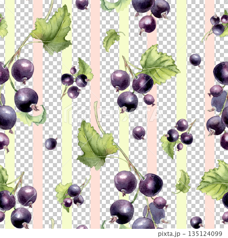 Botanical fruit on striped watercolor seamless pattern. Natural floral ornament with dark blue berries on white. Black currant berries and leaves hand drawn. Summer repeat for textile or packaging. Botanical fruit on striped watercolor seamless pattern. Natural floral ornament with dark blue berries on white. Black currant berries and leaves hand drawn. Summer repeat for textile or packaging. 135124099