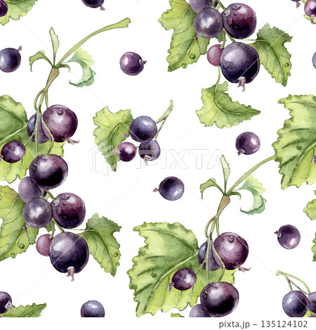 Blackcurrant seamless pattern isolated on white. Realistic watercolor illustration of berry fruit with green leaf hand drawn. Fresh fruits background for food packaging, fabric, textile, wallpaper. Blackcurrant seamless pattern isolated on white. Realistic watercolor illustration of berry fruit with green leaf hand drawn. Fresh fruits background for food packaging, fabric, textile, wallpaper. 135124102