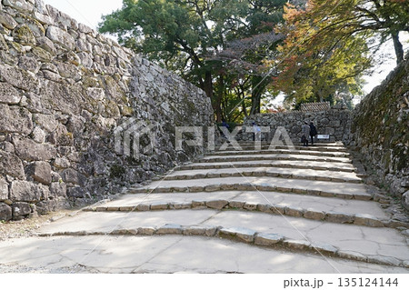 滋賀　彦根　彦根城　鐘の丸入口の桝形の表門山道（晩秋） 135124144