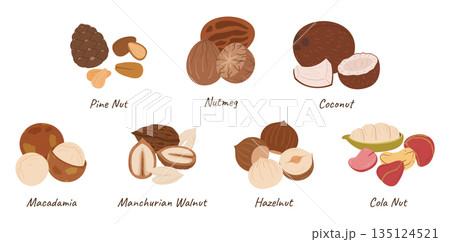 Nuts Collection, Pine Nut, Nutmeg, Coconut, Macadamia Cashew, and Manchurian Walnut, Hazelnut or Cola Nut Kernels Nuts Collection, Pine Nut, Nutmeg, Coconut, Macadamia Cashew, and Manchurian Walnut, Hazelnut or Cola Nut Kernels 135124521