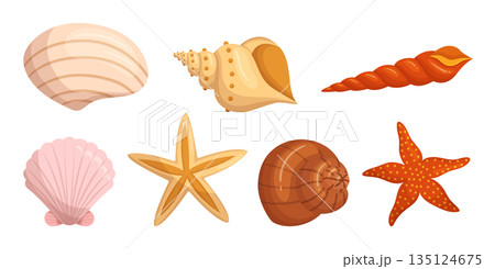Seashells And Starfish Set Isolated On White Background. Shells Adding Touch Of The Ocean To Any Decor 135124675