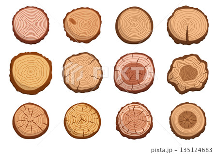 Collection Of Tree Trunk Cross Sections, Displaying Unique Patterns And Textures. Perfect For Rustic Decor, Woodworking 135124683