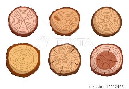Set Of Tree Trunk Cross Sections, Showcasing The Unique Patterns And Growth Rings, Isolated Icons On White Set Of Tree Trunk Cross Sections, Showcasing The Unique Patterns And Growth Rings, Isolated Icons On White 135124684