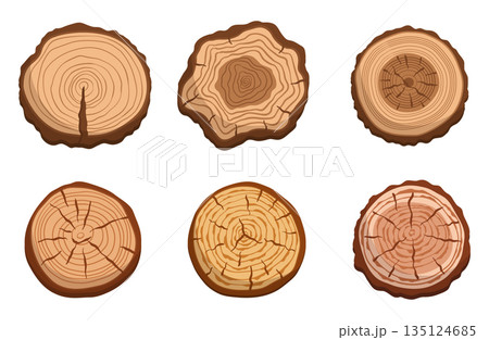 Set Of Tree Trunk Cross Sections, Featuring Circular Slices Showcasing Unique Growth Rings And Natural Wood Patterns 135124685