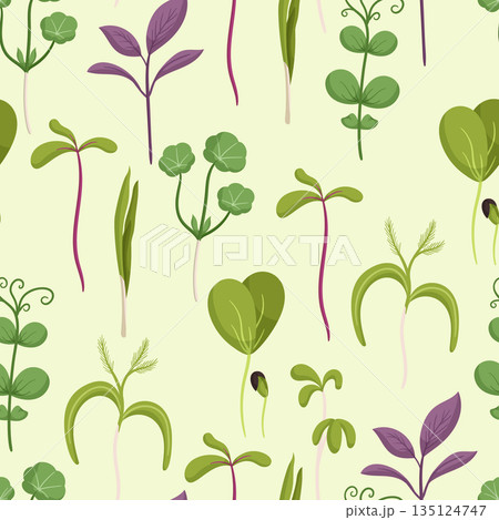 Seamless Pattern With Microgreens, Vibrant And Fresh Design Showcases A Variety Of Colorful And Nutrient-packed Seamless Pattern With Microgreens, Vibrant And Fresh Design Showcases A Variety Of Colorful And Nutrient-packed 135124747