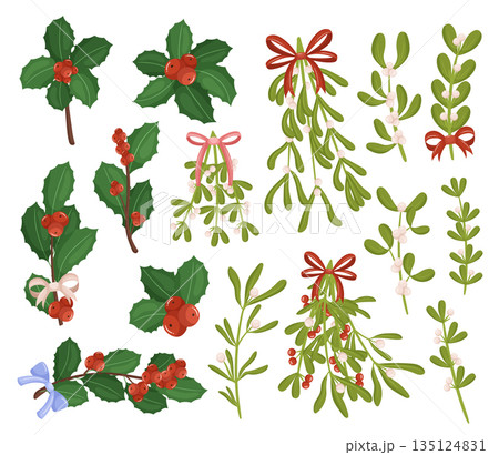 Festive Mistletoe And Holly Berry Branches Set. Holiday Decor, Features Vibrant Red Berries And Lush Green Leaves Festive Mistletoe And Holly Berry Branches Set. Holiday Decor, Features Vibrant Red Berries And Lush Green Leaves 135124831