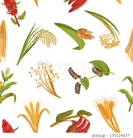 Seamless Pattern Featuring Intricate Tile Of Various Cereal Grain Plants, Creating A Harmonious And Repetitive Design 135124837